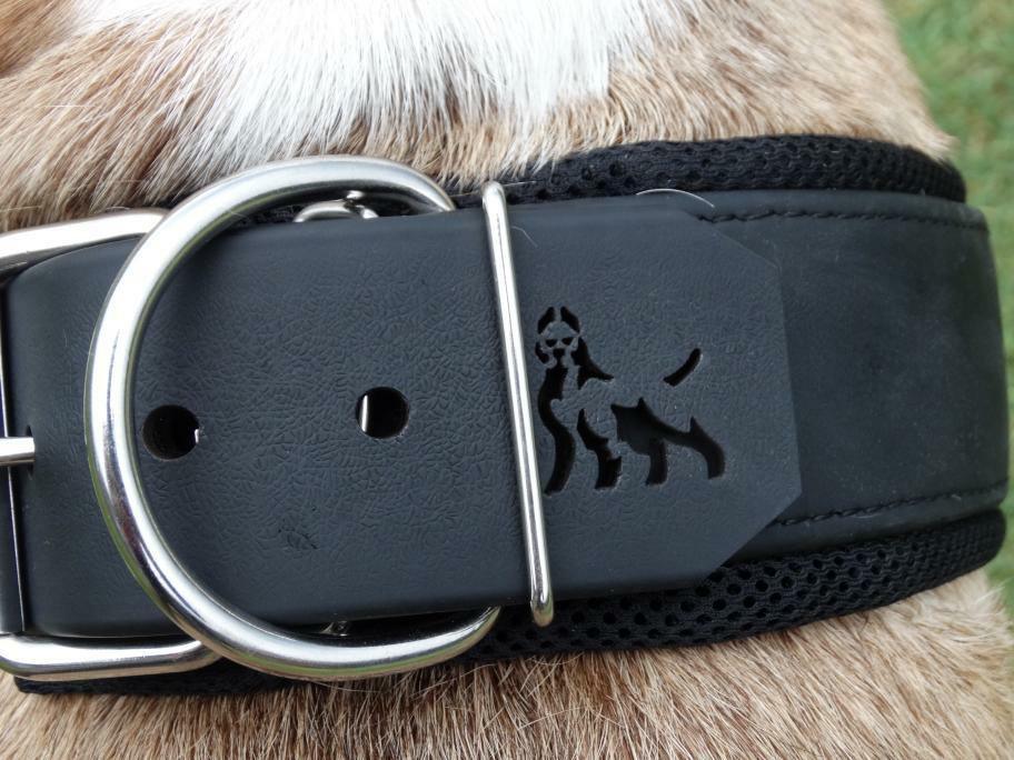 BESTIA DOG SPORT COLLAR - Image 6