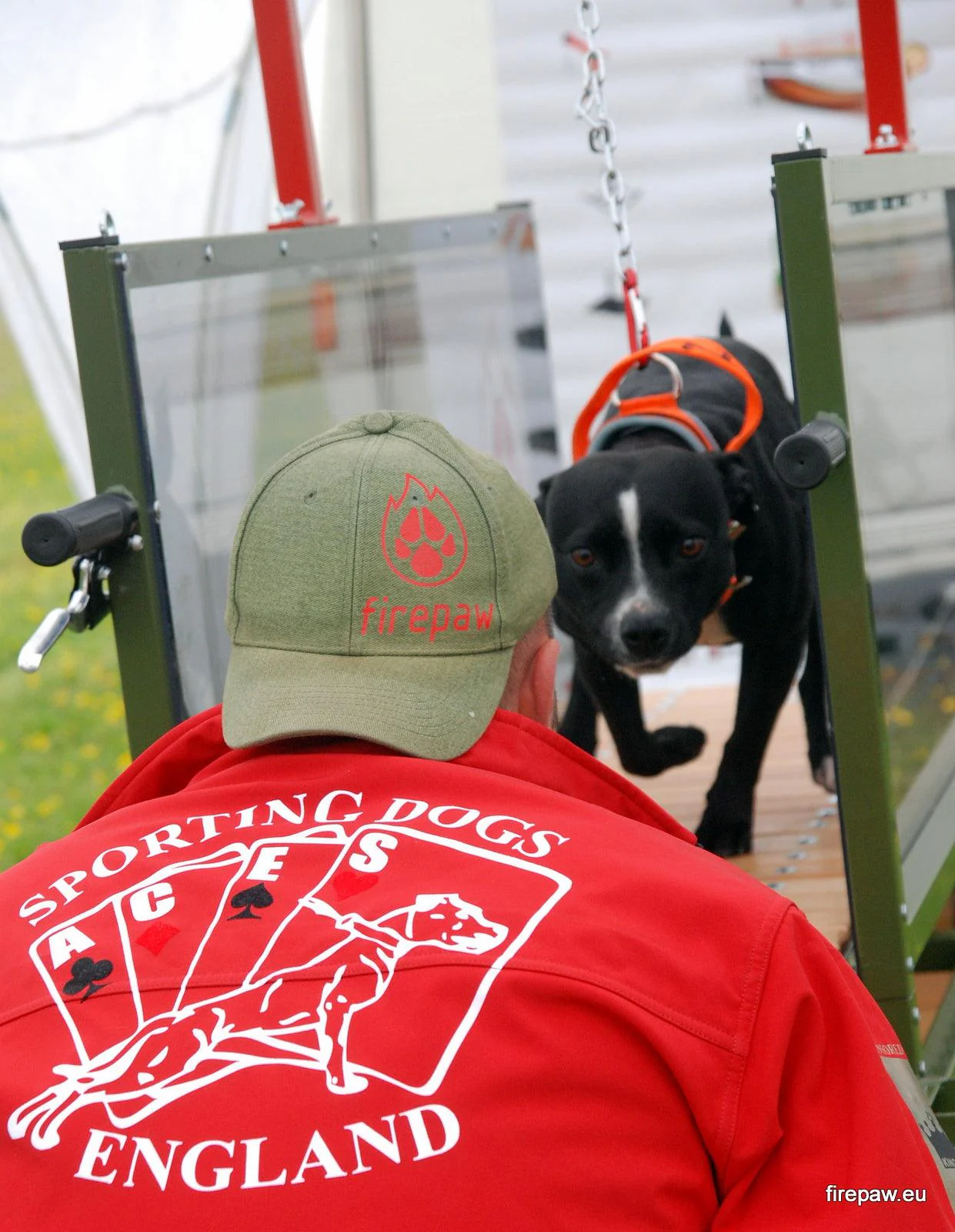 FirePaw Dog Treadmills - Image 7