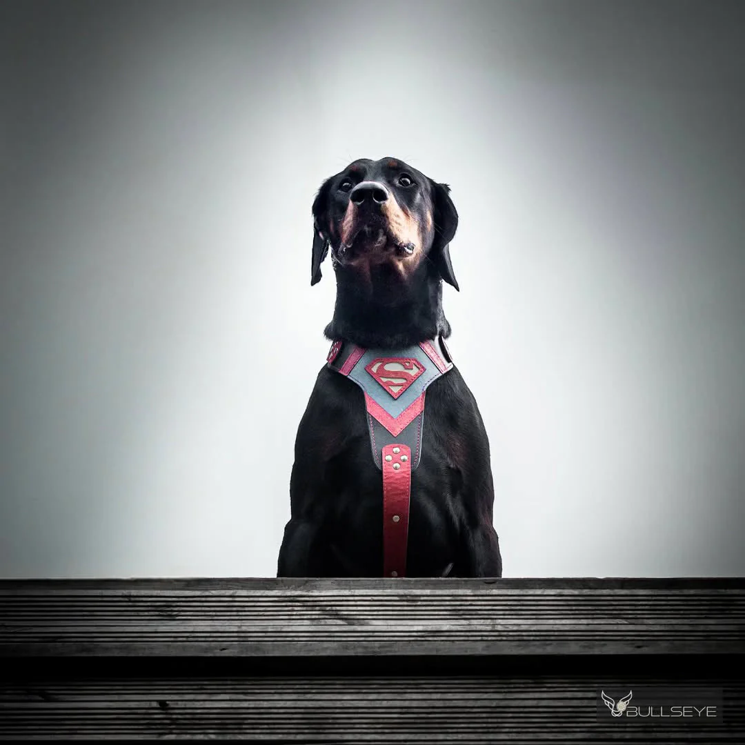 Superdog Harness - Image 3