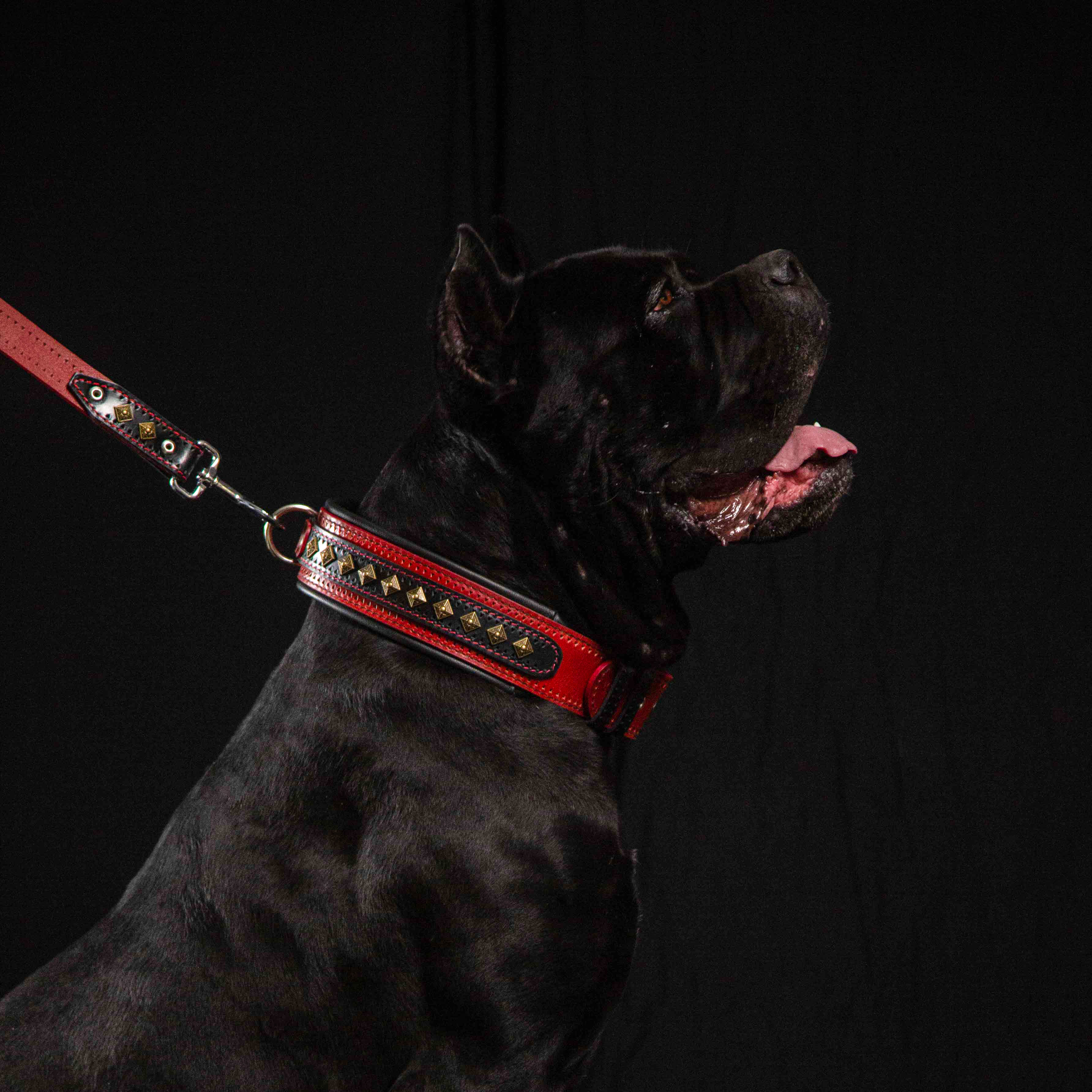 The "Balteus" red collar - Image 3