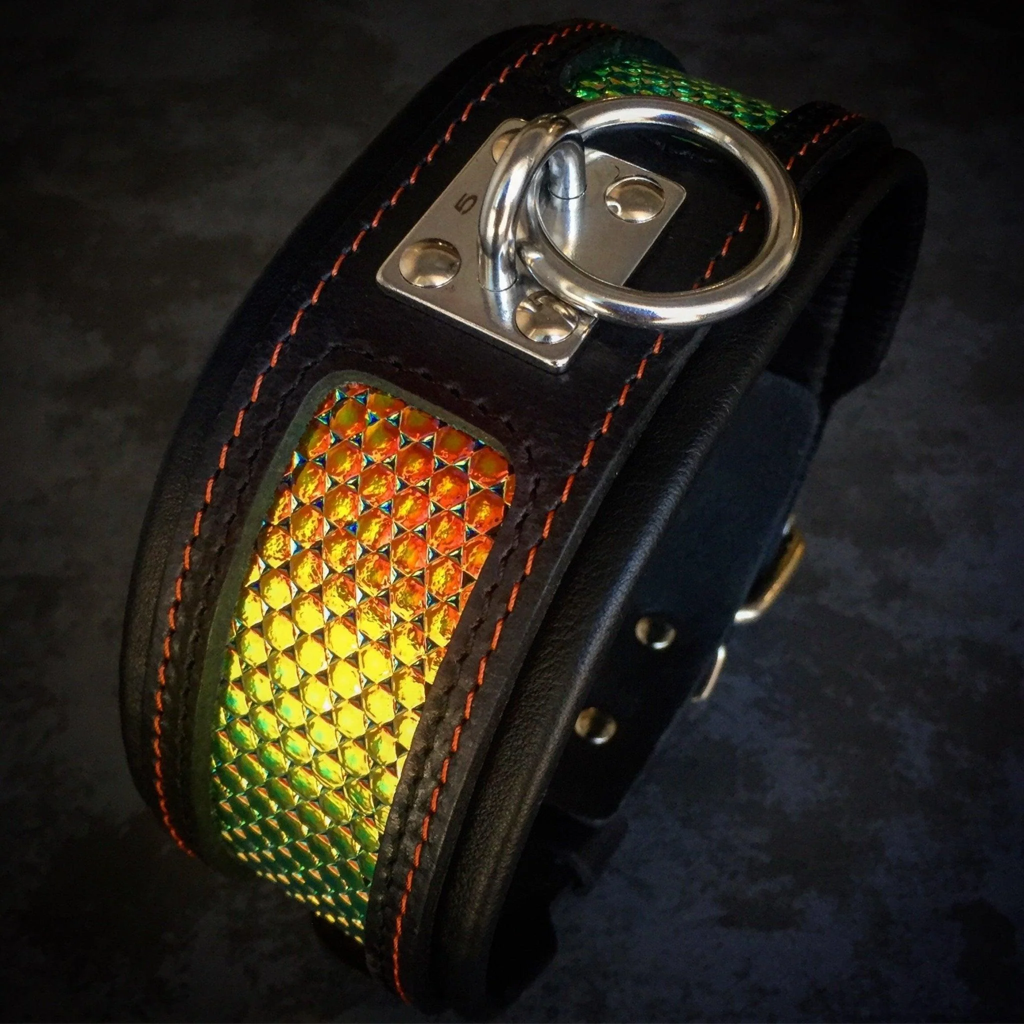 The ''D`Albertis'' collar