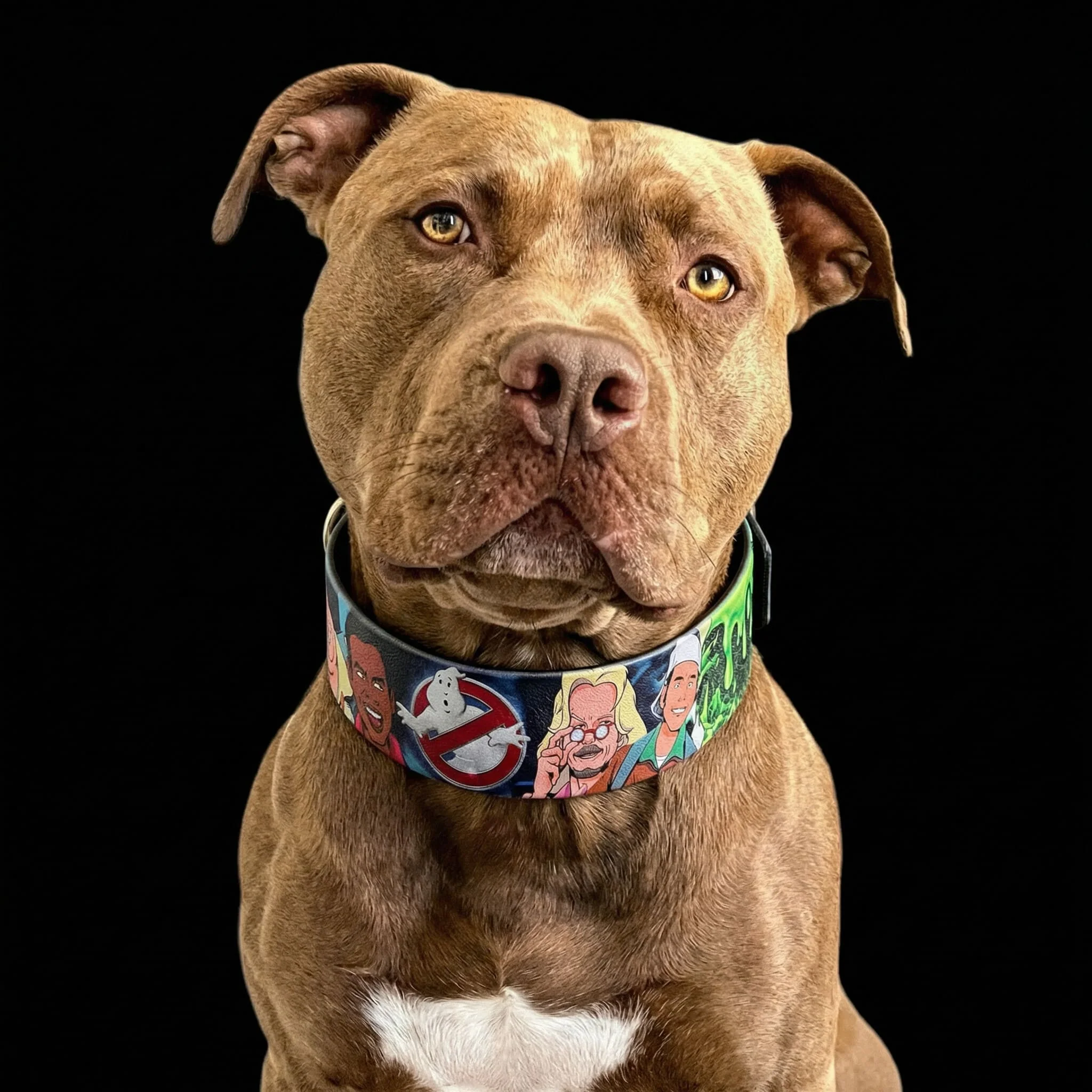 The “Ghosts” collar -LIMITED - Image 4