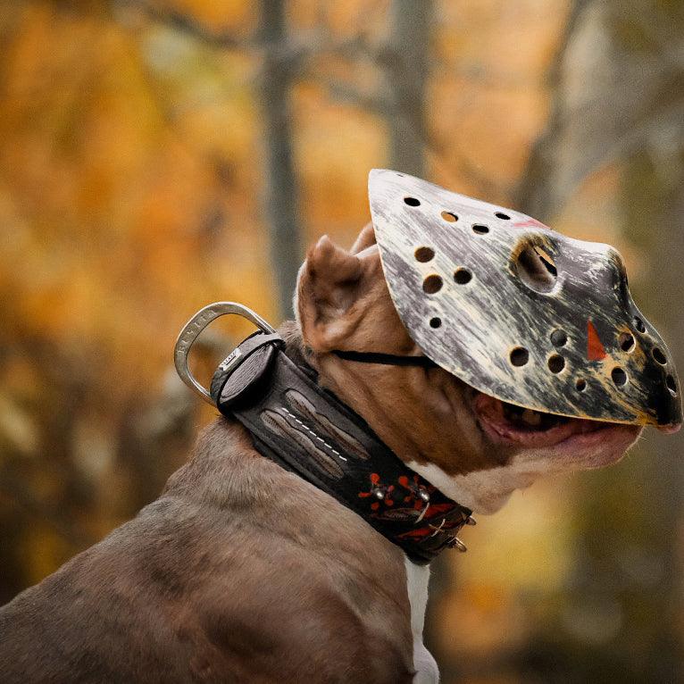 The "Haunted'' collar LIMITED - Image 3
