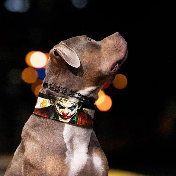 The JK Limited Collar - Image 3