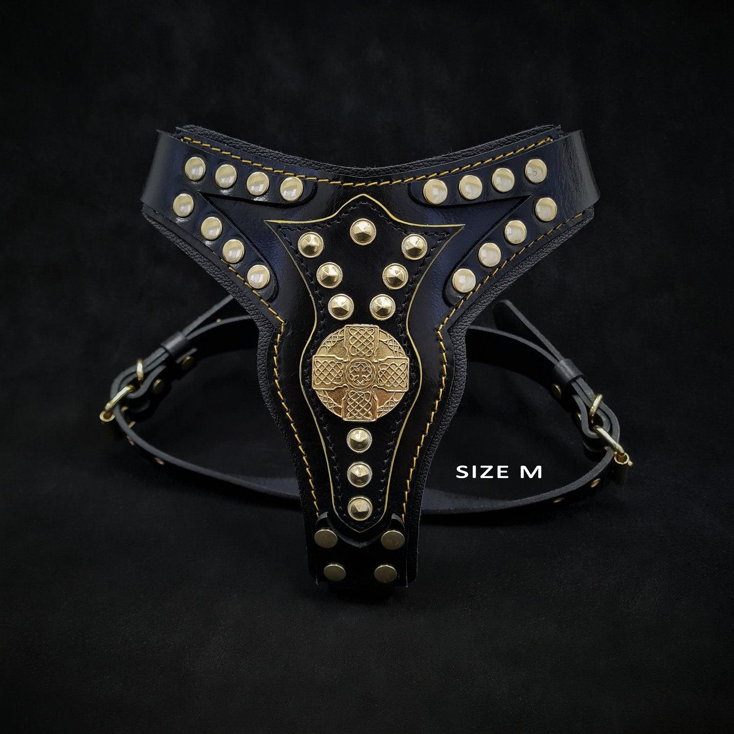 The "Maximus" harness V2 - Image 4