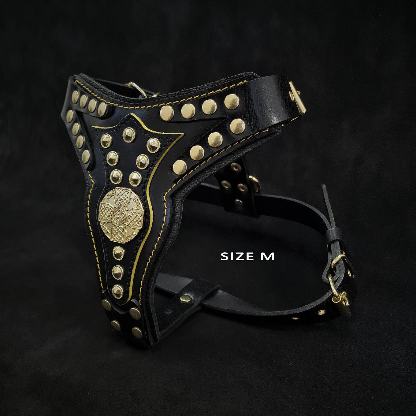 The "Maximus" harness V2 - Image 5