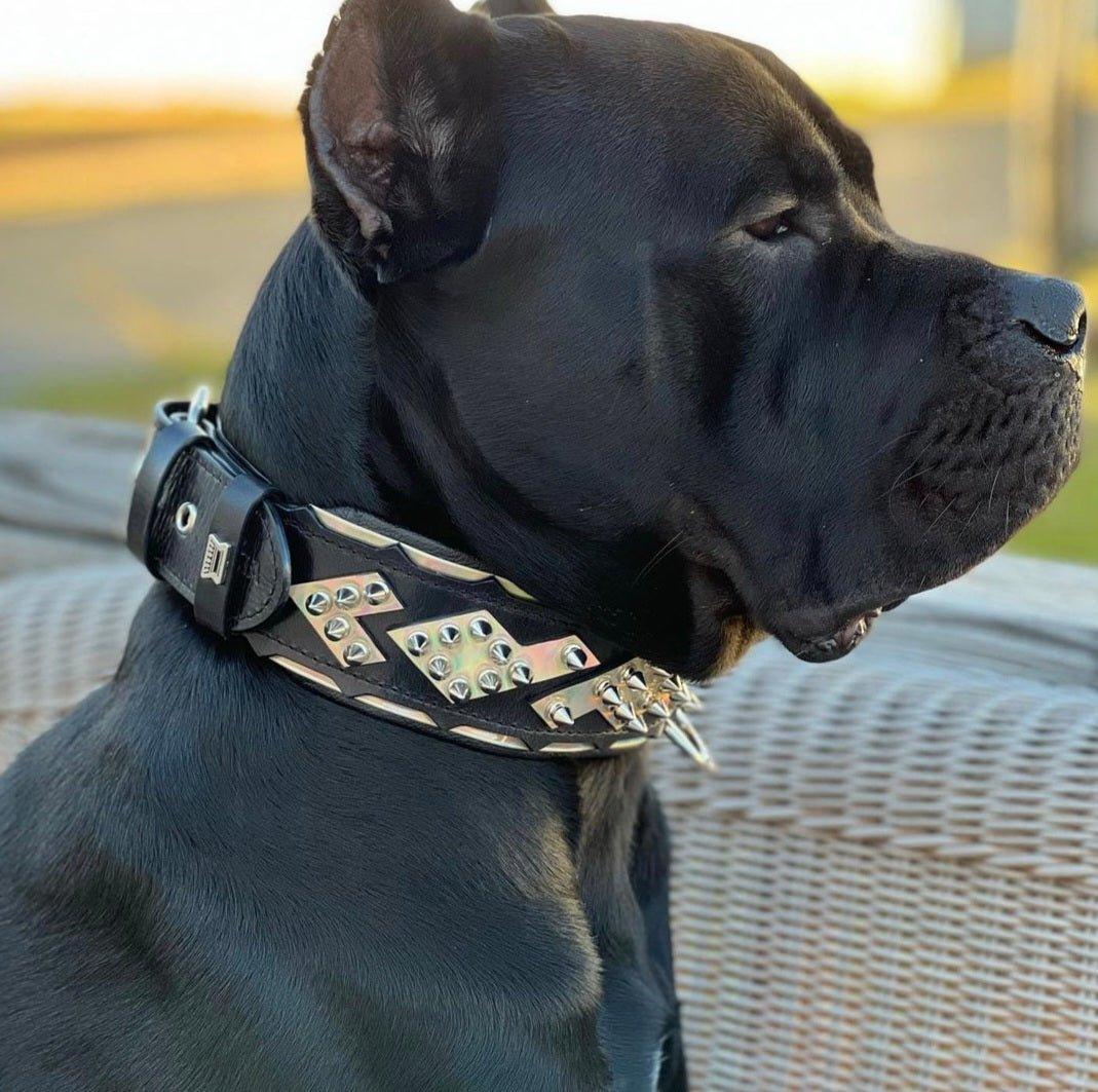 The ''Midas'' Collar Silver - Image 4