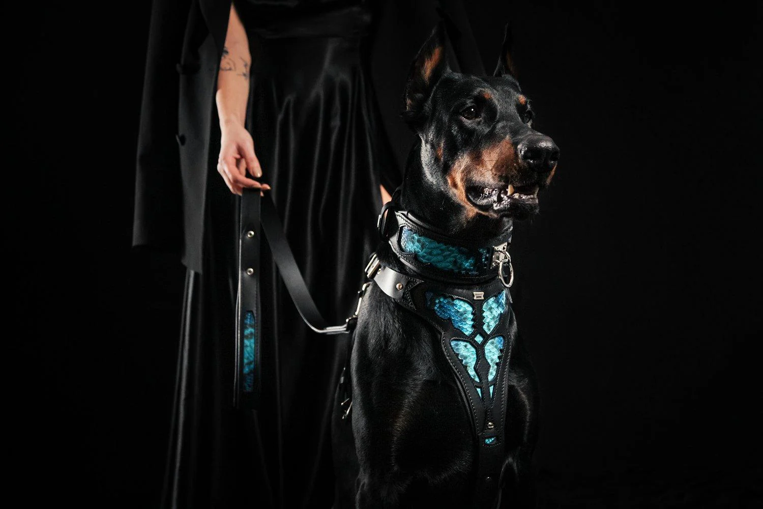 The ''Morelia Python'' harness - Image 4
